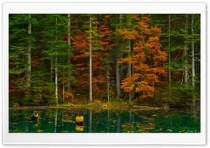 Autumn Forest Reflected in a Green Lake 4K UHD Wallpaper for Widescreen and UltraWide Desktop, UltraHD TV, Smartphone, Tablet