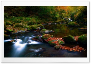 Autumn Forest River Ultra HD Wallpaper for 4K UHD Widescreen desktop, tablet & smartphone