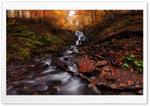 Autumn Forest Scene Ultra HD Wallpaper for 4K UHD Widescreen Desktop, Lockscreen, Screensaver, TV, Tablet, Smartphone