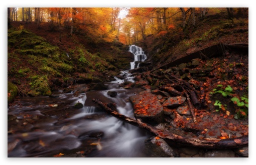 Autumn Forest Scene UltraHD Wallpaper for UHD 16:9 ; HD 16:9 ; UltraWide 21:9 24:10 32:9 32:10 ; Widescreen 16:10 5:3 ; Fullscreen 4:3 5:4 3:2 ; Tablet 1:1 ; Mobile 9:16 9:19.5 9:20 9:21 9:22 10:16 2:3 3:5 3:4 ; Dual 16:10 5:3 16:9 4:3 5:4 3:2 ;