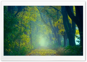 Autumn has Arrived Ultra HD Wallpaper for 4K UHD Widescreen desktop, tablet & smartphone