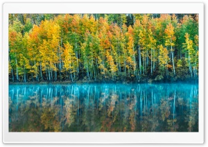 Autumn in a Colorado Forest by the Lake 4K UHD Wallpaper for Widescreen and UltraWide Desktop, UltraHD TV, Smartphone, Tablet
