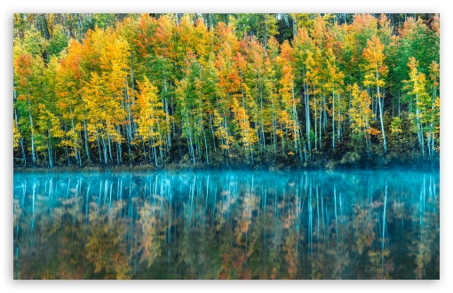 Autumn in a Colorado Forest by the Lake UltraHD Wallpaper for UHD 16:9 ; HD 16:9 ; UltraWide 21:9 24:10 32:9 32:10 ; Widescreen 16:10 5:3 ; Fullscreen 4:3 5:4 3:2 ; Tablet 1:1 ; Mobile 9:16 9:19.5 9:20 9:21 9:22 10:16 2:3 3:5 3:4 ; Dual 16:10 5:3 16:9 4:3 5:4 3:2 ;