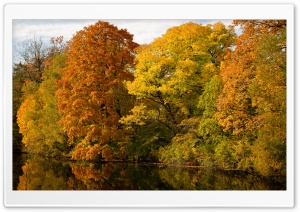 Autumn in Denmark Ultra HD Wallpaper for 4K UHD Widescreen desktop, tablet & smartphone