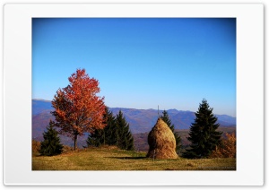 Autumn in Romania 4K UHD Wallpaper for Widescreen and UltraWide Desktop, UltraHD TV, Smartphone, Tablet