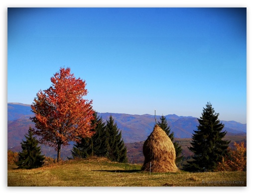 Autumn in Romania UltraHD Wallpaper for Fullscreen 4:3 ;