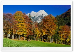 Autumn in the Mountains Ultra HD Wallpaper for 4K UHD Widescreen desktop, tablet & smartphone
