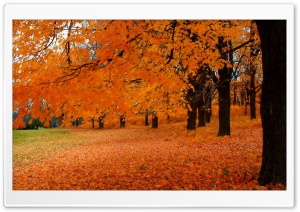 Autumn In Wisconsin Ultra HD Wallpaper for 4K UHD Widescreen desktop, tablet & smartphone
