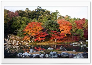 Autumn, Japan Ultra HD Wallpaper for 4K UHD Widescreen desktop, tablet & smartphone