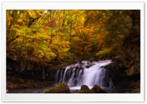 Autumn Japan Ultra HD Wallpaper for 4K UHD Widescreen desktop, tablet & smartphone