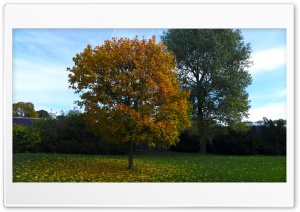 Autumn Landscape Background Ultra HD Wallpaper for 4K UHD Widescreen desktop, tablet & smartphone