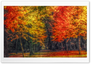 Autumn Landscape HDR Ultra HD Wallpaper for 4K UHD Widescreen desktop, tablet & smartphone