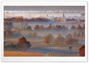 Autumn Landscape, Mist, Vineyards, Trees, Village Ultra HD Wallpaper for 4K UHD Widescreen desktop, tablet & smartphone