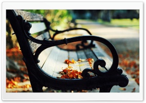 Autumn Leaves On A Bench Ultra HD Wallpaper for 4K UHD Widescreen desktop, tablet & smartphone