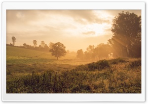 Autumn Morning Landscape Ultra HD Wallpaper for 4K UHD Widescreen desktop, tablet & smartphone