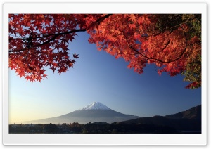 Autumn, Mount Fuji, Japan Ultra HD Wallpaper for 4K UHD Widescreen desktop, tablet & smartphone