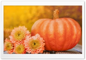 Autumn October Happy Halloween Pumpkin 2019 Ultra HD Wallpaper for 4K UHD Widescreen desktop, tablet & smartphone