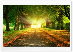 Autumn Path Ultra HD Wallpaper for 4K UHD Widescreen desktop, tablet & smartphone
