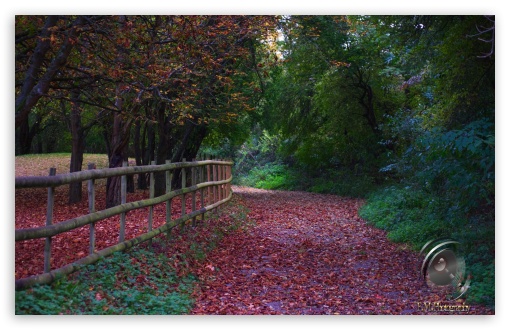 Autumn Path UltraHD Wallpaper for HD 16:9 ; Widescreen 16:10 5:3 ; Fullscreen 3:2 ;