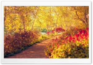 Autumn Pathway Ultra HD Wallpaper for 4K UHD Widescreen desktop, tablet & smartphone