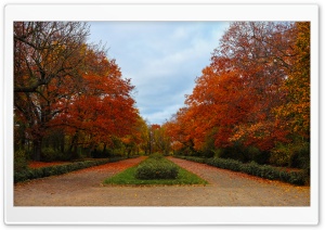 Autumn Pathway Ultra HD Wallpaper for 4K UHD Widescreen Desktop, Lockscreen, Screensaver, TV, Tablet, Smartphone