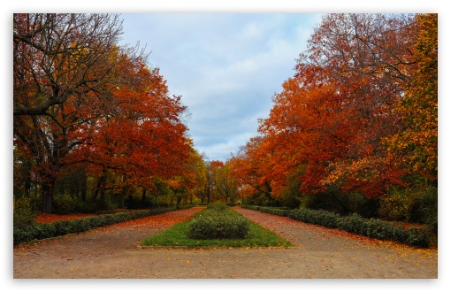 Autumn Pathway UltraHD Wallpaper for UHD 16:9 ; HD 16:9 ; UltraWide 21:9 24:10 32:9 32:10 ; Widescreen 16:10 5:3 ; Fullscreen 4:3 5:4 3:2 ; Tablet 1:1 ; Mobile 9:16 9:19.5 9:20 9:21 9:22 10:16 2:3 3:5 3:4 ; Dual 16:10 5:3 16:9 4:3 5:4 3:2 ;