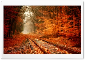 Autumn Railway Ultra HD Wallpaper for 4K UHD Widescreen desktop, tablet & smartphone