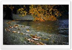 Autumn River Bank Ultra HD Wallpaper for 4K UHD Widescreen desktop, tablet & smartphone