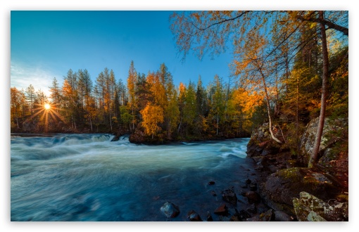 Autumn, River, Finland, Golden Trees, Morning, Sunshine UltraHD Wallpaper for UHD 16:9 ; HD 16:9 ; UltraWide 21:9 24:10 ; Widescreen 16:10 5:3 ; Fullscreen 4:3 5:4 3:2 ; Tablet 1:1 ;