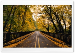 Autumn Road Ultra HD Wallpaper for 4K UHD Widescreen desktop, tablet & smartphone