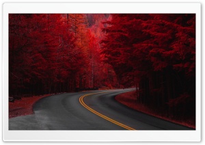 Autumn, Road, Aesthetic Ultra HD Wallpaper for 4K UHD Widescreen desktop, tablet & smartphone