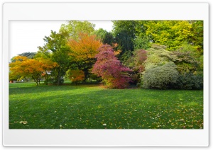 Autumn Scene Background Ultra HD Wallpaper for 4K UHD Widescreen desktop, tablet & smartphone