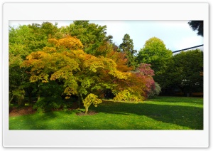Autumn Scene Background Ultra HD Wallpaper for 4K UHD Widescreen desktop, tablet & smartphone