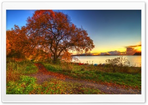 Autumn Scenery Ultra HD Wallpaper for 4K UHD Widescreen desktop, tablet & smartphone