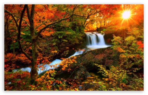 Autumn Scenery UltraHD Wallpaper for 8K UHD TV 16:9 Ultra High Definition 2160p 1440p 1080p 900p 720p ; UltraWide 21:9 24:10 ; Widescreen 16:10 5:3 WHXGA WQXGA WUXGA WXGA WGA ; Fullscreen 4:3 5:4 3:2 UXGA XGA SVGA QSXGA SXGA DVGA HVGA HQVGA ( Apple PowerBook G4 iPhone 4 3G 3GS iPod Touch ) ; Tablet 1:1 ; Mobile 9:16 9:19.5 9:20 10:16 2:3 3:5 3:4 - ;