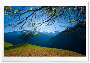 Autumn, Schachental, Switzerland Ultra HD Wallpaper for 4K UHD Widescreen desktop, tablet & smartphone