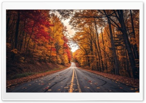 Autumn, Seasonal Colors, Road, Travel 4K UHD Wallpaper for Widescreen and UltraWide Desktop, UltraHD TV, Smartphone, Tablet