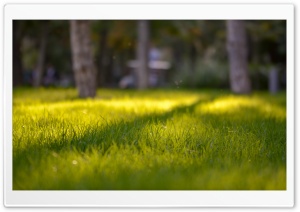 Autumn Sun Ultra HD Wallpaper for 4K UHD Widescreen desktop, tablet & smartphone