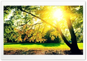 Autumn Sunrise Ultra HD Wallpaper for 4K UHD Widescreen desktop, tablet & smartphone