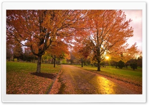Autumn Sunset, Happy Valley, Oregon Ultra HD Wallpaper for 4K UHD Widescreen desktop, tablet & smartphone