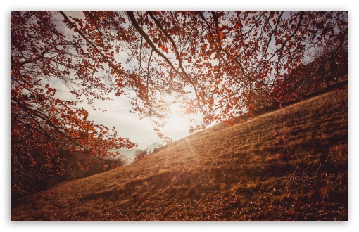 Autumn Sunset in Trascau Mountains, Romania Ultra HD Desktop Background ...
