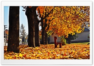 Autumn Time Ultra HD Wallpaper for 4K UHD Widescreen desktop, tablet & smartphone
