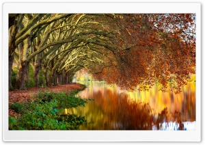 Autumn Trees Reflected in Calm Water 4K UHD Wallpaper for Widescreen and UltraWide Desktop, UltraHD TV, Smartphone, Tablet