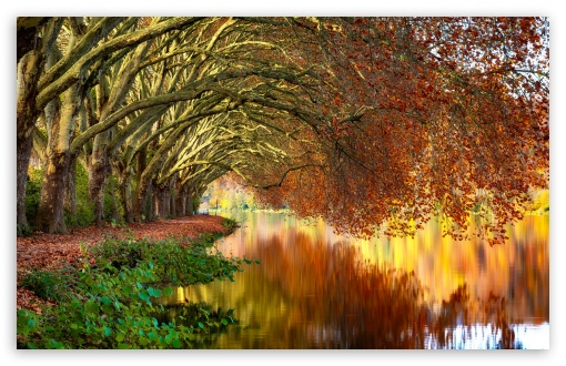 Autumn Trees Reflected in Calm Water UltraHD Wallpaper for UHD 16:9 ; HD 16:9 ; UltraWide 21:9 24:10 ; Widescreen 16:10 ; Fullscreen 3:2 ; Tablet 1:1 ; Mobile 9:16 ;