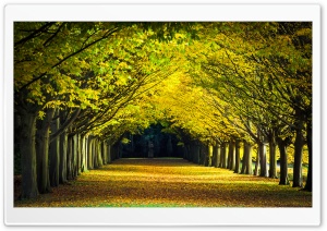 Autumn Walk Ultra HD Wallpaper for 4K UHD Widescreen desktop, tablet & smartphone