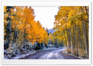 Autumn Winter Ultra HD Wallpaper for 4K UHD Widescreen desktop, tablet & smartphone