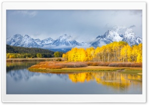 Autumn, Yellow Aspen Trees, Snowy Mountains Ultra HD Wallpaper for 4K UHD Widescreen Desktop, Lockscreen, Screensaver, TV, Tablet, Smartphone