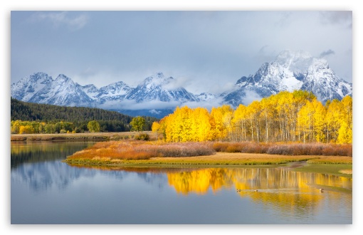 Autumn, Yellow Aspen Trees, Snowy Mountains UltraHD Wallpaper for UHD 16:9 ; HD 16:9 ; UltraWide 21:9 24:10 32:9 32:10 ; Widescreen 16:10 5:3 ; Fullscreen 4:3 5:4 3:2 ; Tablet 1:1 ; Mobile 9:16 9:19.5 9:20 9:21 9:22 10:16 2:3 3:5 3:4 ; Dual 16:10 5:3 16:9 4:3 5:4 3:2 ;