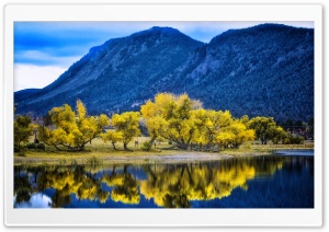 Autumn Yellow Trees Reflection, Palmer Lake Ultra HD Wallpaper for 4K UHD Widescreen desktop, tablet & smartphone