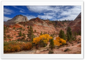 Autumn, Zion National Park, Utah Ultra HD Wallpaper for 4K UHD Widescreen desktop, tablet & smartphone